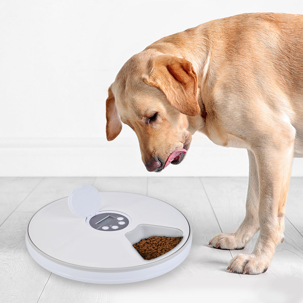 6-grid smart pet feeder for cats and dogs