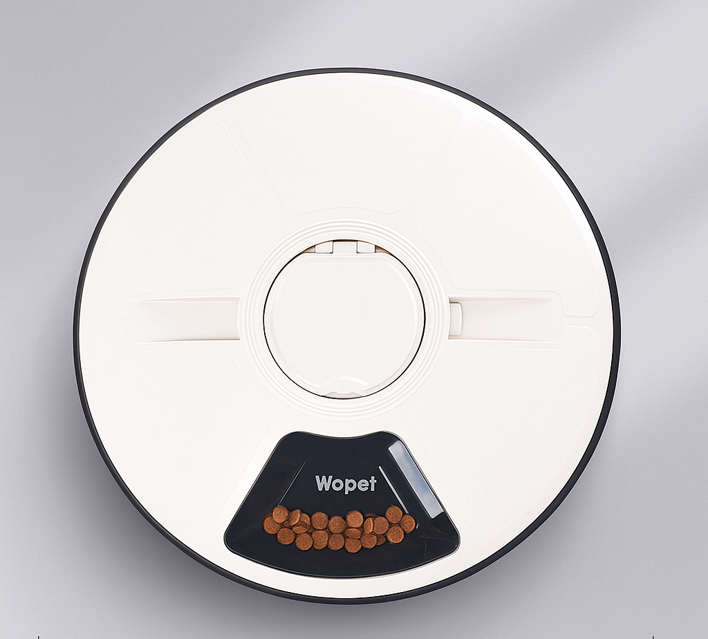automatic pet food dispenser with music