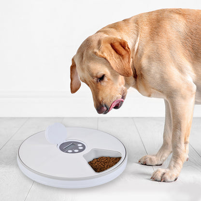 6-grid smart pet feeder for cats and dogs