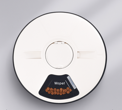 automatic pet food dispenser with music